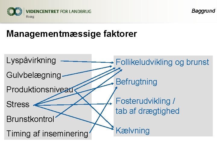 Baggrund Managementmæssige faktorer Lyspåvirkning Gulvbelægning Produktionsniveau Stress Brunstkontrol Timing af inseminering Follikeludvikling og brunst