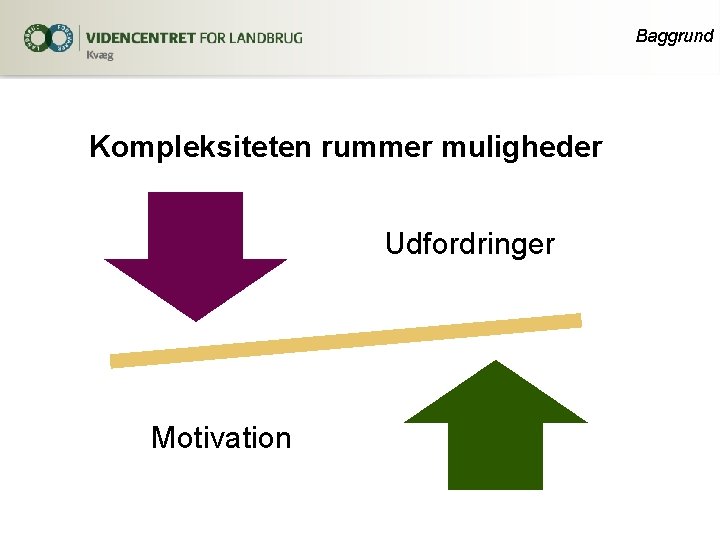 Baggrund Kompleksiteten rummer muligheder Udfordringer Motivation 