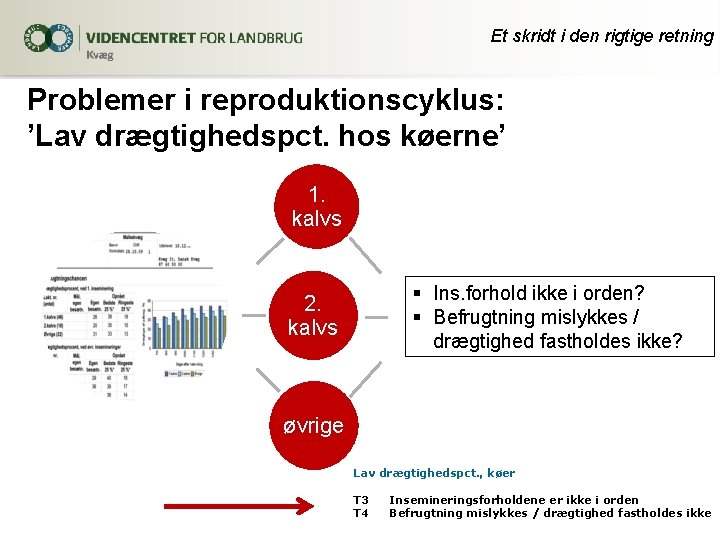 Et skridt i den rigtige retning Problemer i reproduktionscyklus: ’Lav drægtighedspct. hos køerne’ 1.