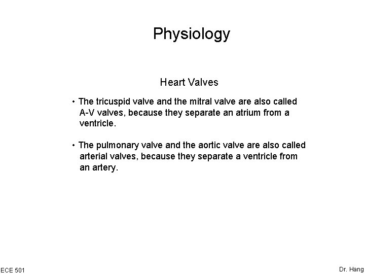 Physiology Heart Valves • The tricuspid valve and the mitral valve are also called