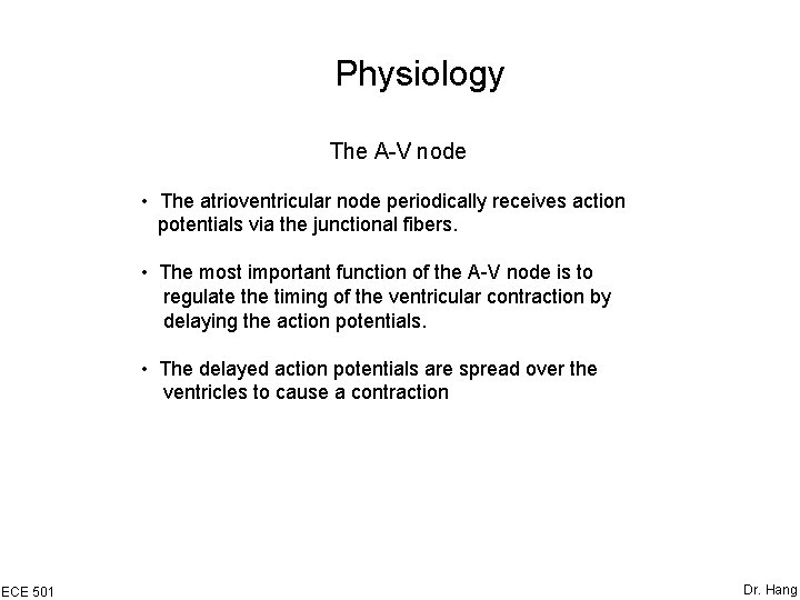 Physiology The A-V node • The atrioventricular node periodically receives action potentials via the