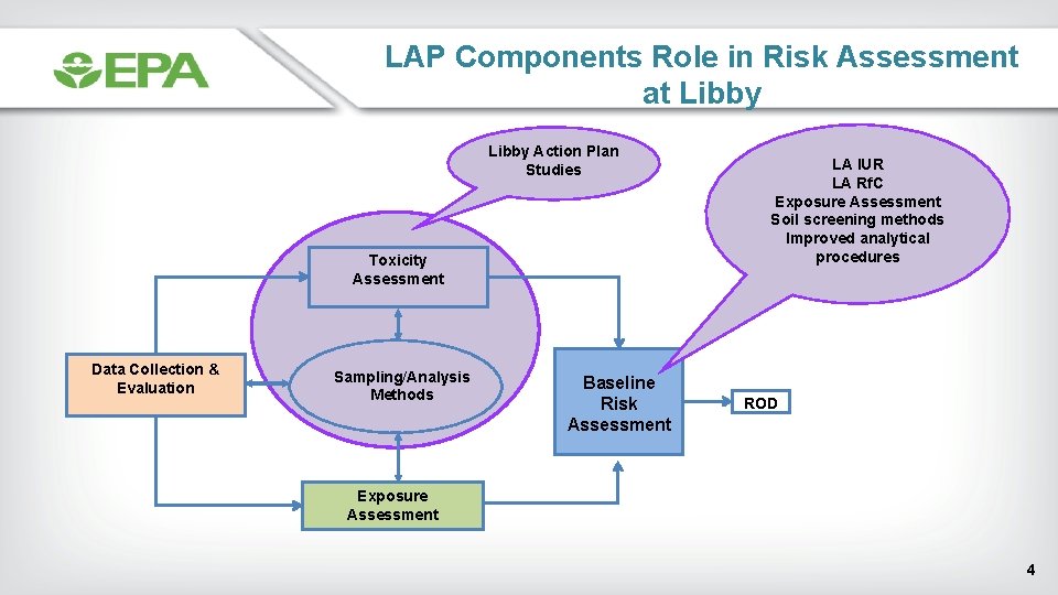 LAP Components Role in Risk Assessment at Libby Action Plan Studies Toxicity Assessment Data