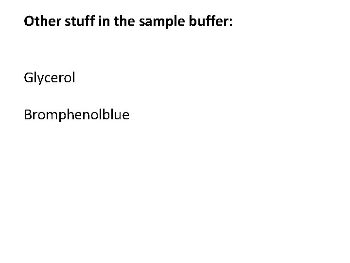Other stuff in the sample buffer: Glycerol Bromphenolblue 