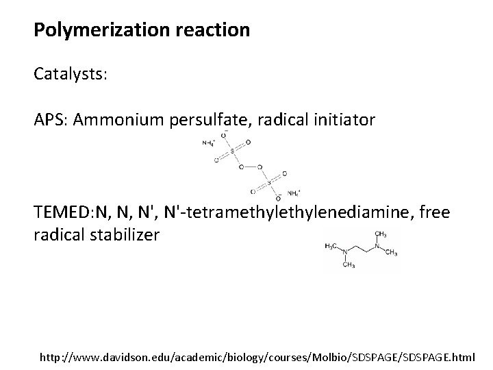 Polymerization reaction Catalysts: APS: Ammonium persulfate, radical initiator TEMED: N, N, N'-tetramethylenediamine, free radical