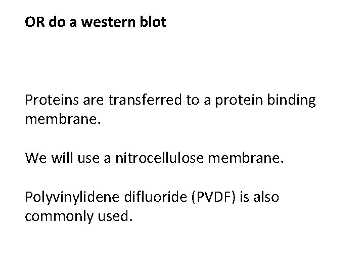 OR do a western blot Proteins are transferred to a protein binding membrane. We