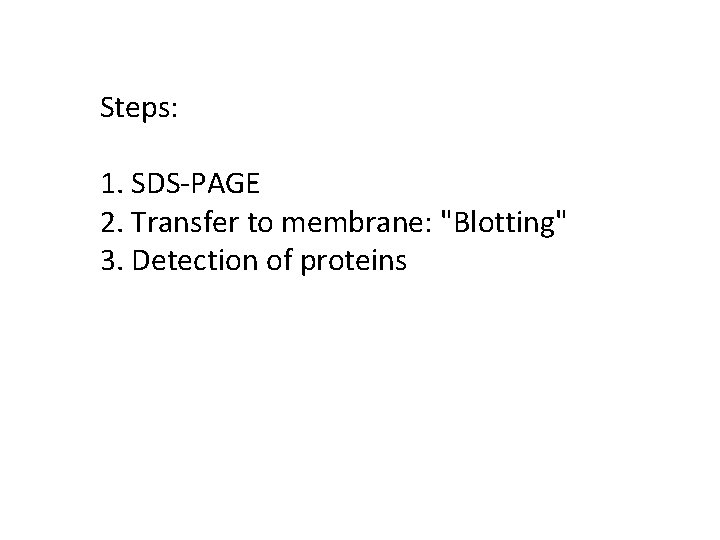 Steps: 1. SDS-PAGE 2. Transfer to membrane: "Blotting" 3. Detection of proteins 
