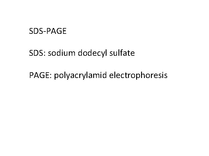 SDS-PAGE SDS: sodium dodecyl sulfate PAGE: polyacrylamid electrophoresis 