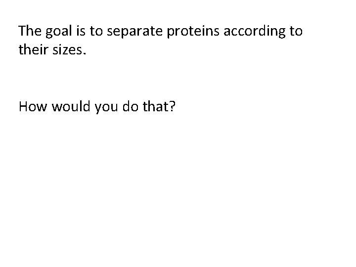The goal is to separate proteins according to their sizes. How would you do