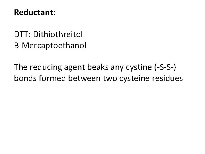 Reductant: DTT: Dithiothreitol B-Mercaptoethanol The reducing agent beaks any cystine (-S-S-) bonds formed between