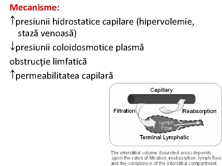 Mecanisme: presiunii hidrostatice capilare (hipervolemie, stază venoasă) presiunii coloidosmotice plasmă obstrucţie limfatică permeabilitatea capilară