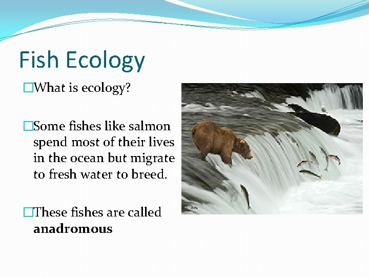 Fish Ecology �What is ecology? �Some fishes like salmon spend most of their lives