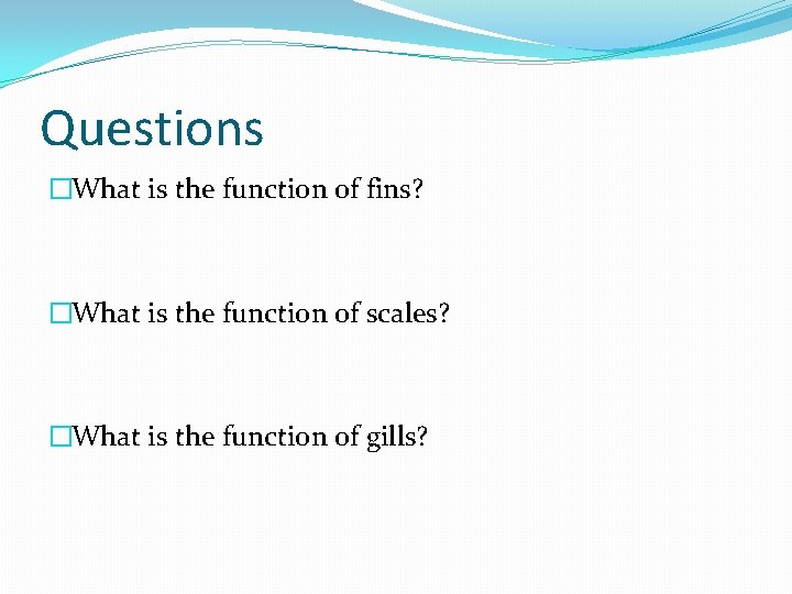 Questions �What is the function of fins? �What is the function of scales? �What