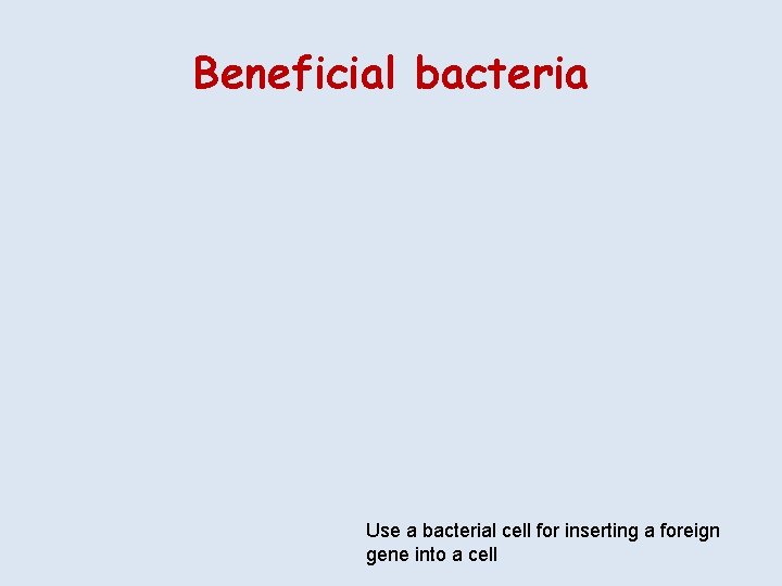 Beneficial bacteria Use a bacterial cell for inserting a foreign gene into a cell