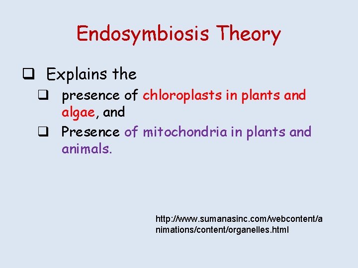 Endosymbiosis Theory q Explains the q presence of chloroplasts in plants and algae, and