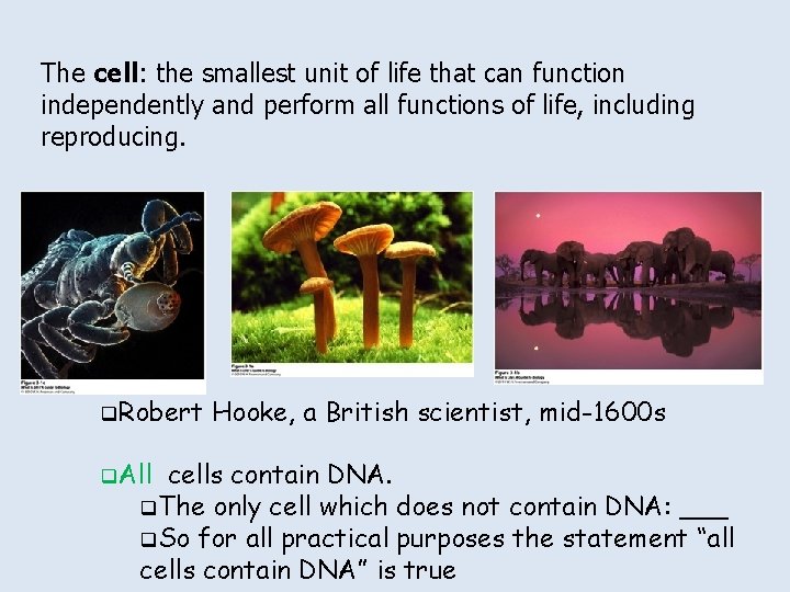 The cell: the smallest unit of life that can function independently and perform all