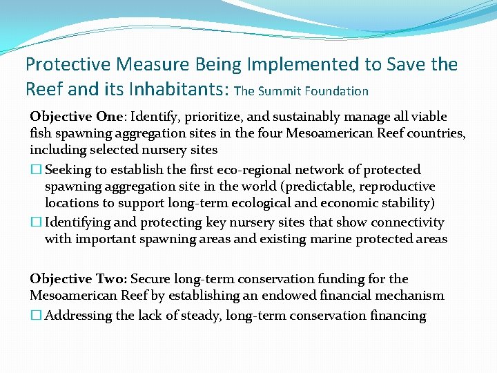 Protective Measure Being Implemented to Save the Reef and its Inhabitants: The Summit Foundation