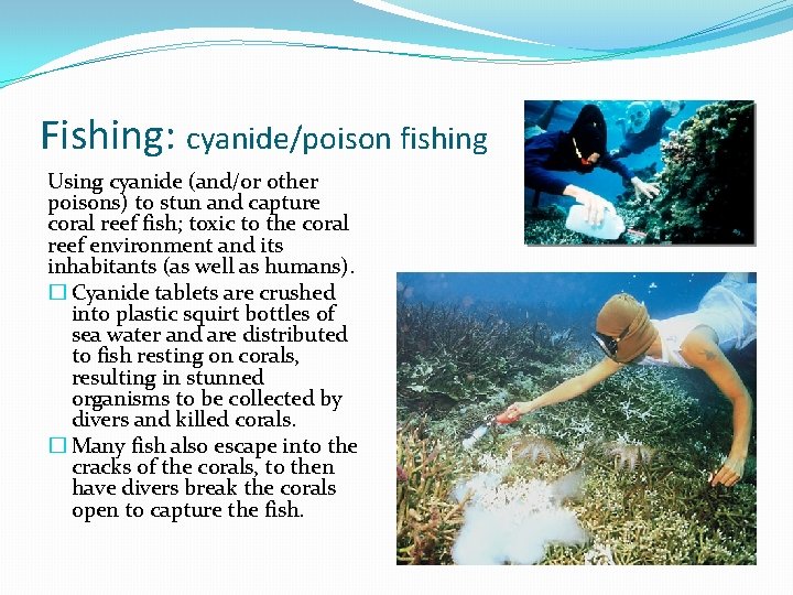Fishing: cyanide/poison fishing Using cyanide (and/or other poisons) to stun and capture coral reef