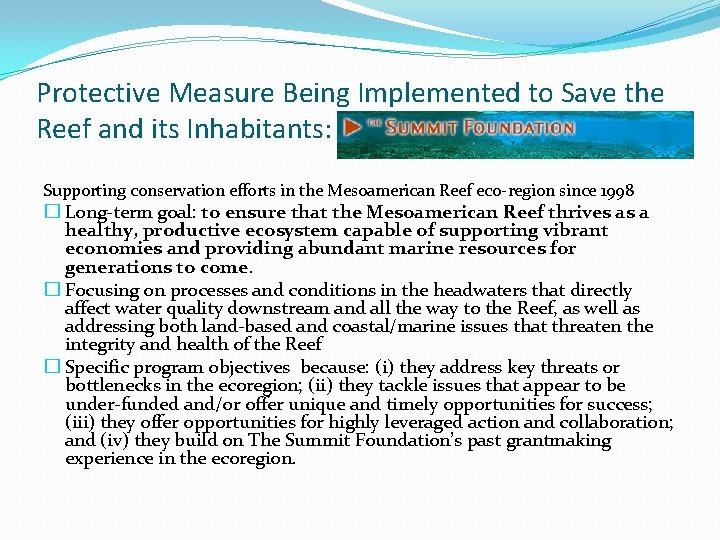 Protective Measure Being Implemented to Save the Reef and its Inhabitants: The Summit Foundation