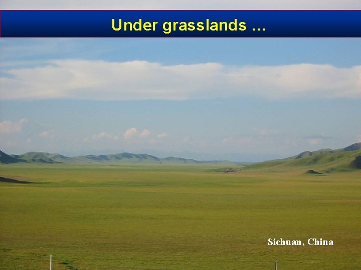 Under grasslands … Sichuan, China 