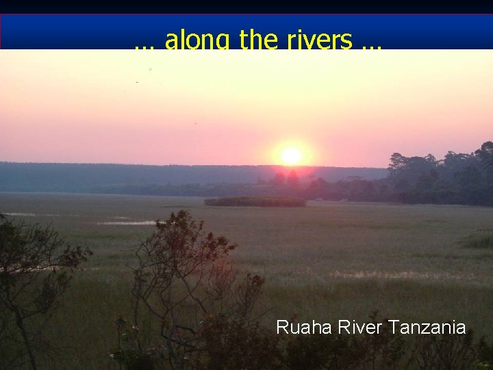 … along the rivers … Kyrgystan Ruaha River Tanzania 