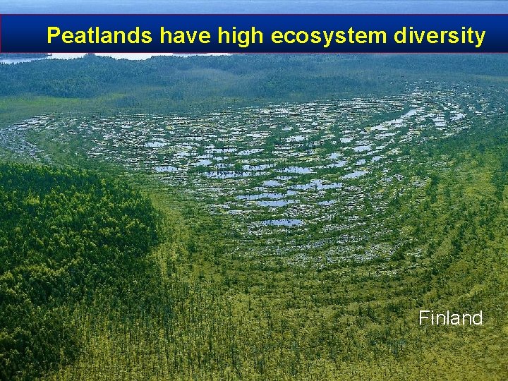 Peatlands have high ecosystem diversity Finland 