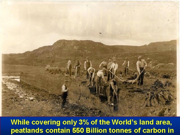 While covering only 3% of the World’s land area, peatlands contain 550 Billion tonnes