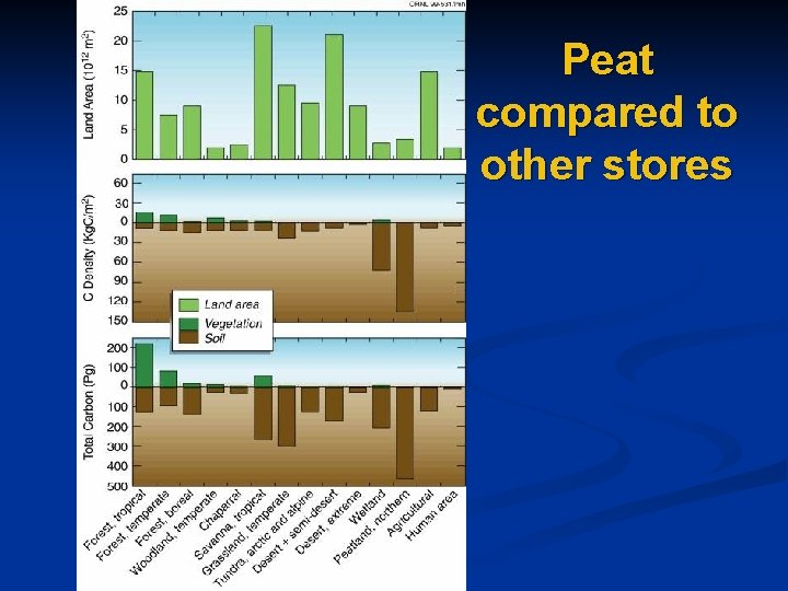 Peat compared to other stores 