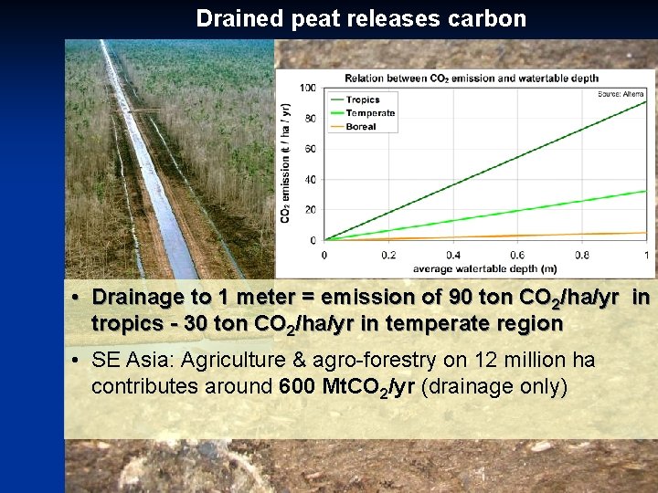 Drained peat releases carbon • Drainage to 1 meter = emission of 90 ton