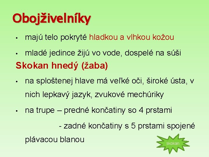 Obojživelníky • majú telo pokryté hladkou a vlhkou kožou • mladé jedince žijú vo