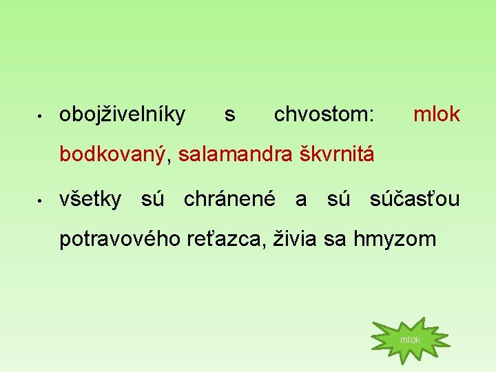  • obojživelníky s chvostom: mlok bodkovaný, salamandra škvrnitá • všetky sú chránené a