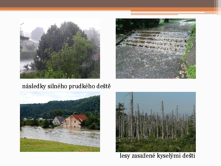 následky silného prudkého deště lesy zasažené kyselými dešti 