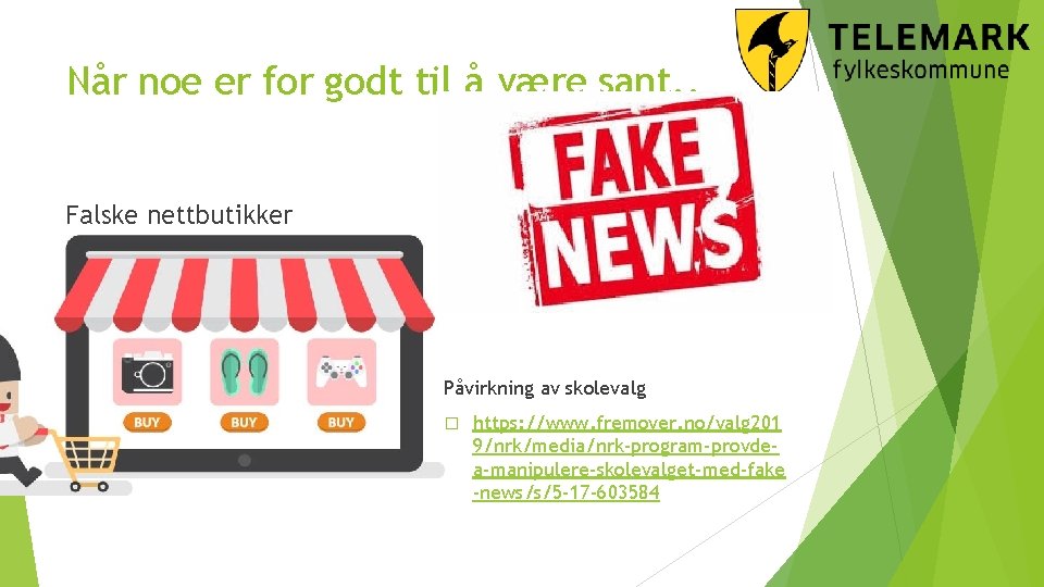 Når noe er for godt til å være sant. . Falske nettbutikker Påvirkning av