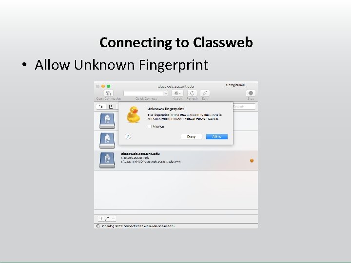 Connecting to Classweb • Allow Unknown Fingerprint 