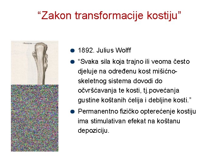 “Zakon transformacije kostiju” 1892. Julius Wolff “Svaka sila koja trajno ili veoma često djeluje