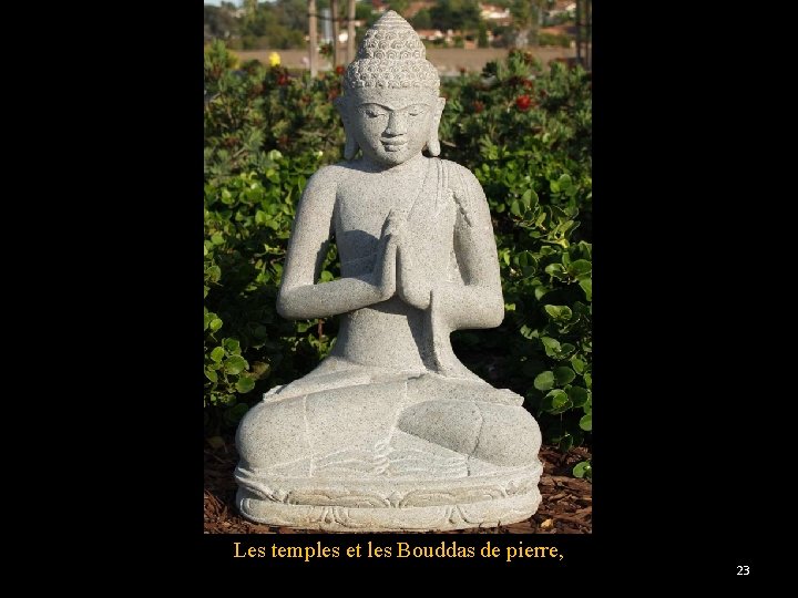 Les temples et les Bouddas de pierre, 23 