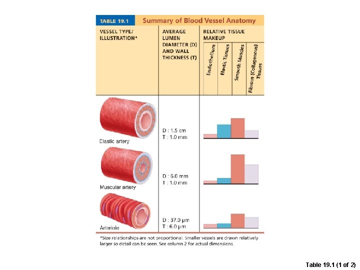 Table 19. 1 (1 of 2) 