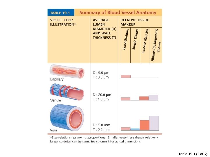 Table 19. 1 (2 of 2) 