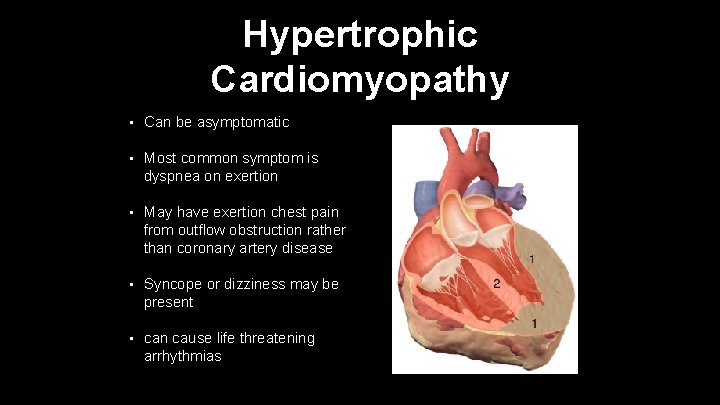 Hypertrophic Cardiomyopathy • Can be asymptomatic • Most common symptom is dyspnea on exertion