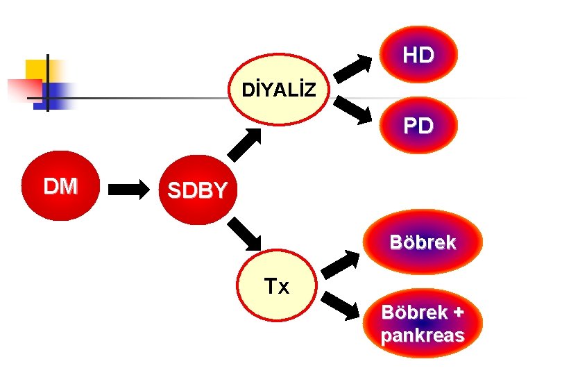HD DİYALİZ PD DM SDBY Böbrek Tx Böbrek + pankreas 