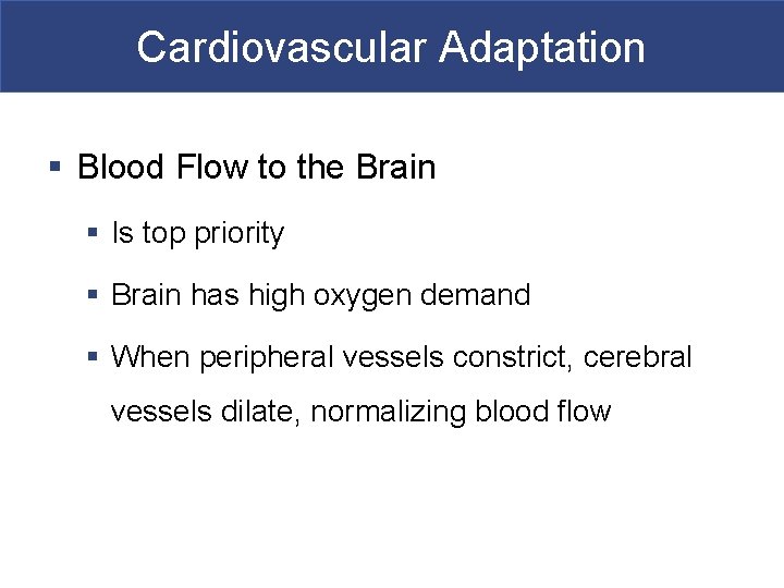 Cardiovascular Adaptation § Blood Flow to the Brain § Is top priority § Brain