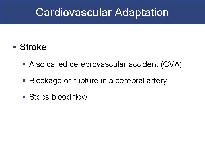 Cardiovascular Adaptation § Stroke § Also called cerebrovascular accident (CVA) § Blockage or rupture