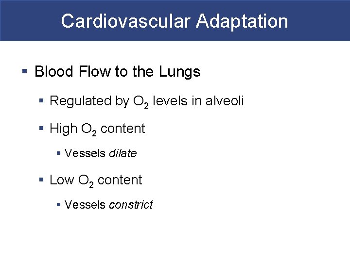 Cardiovascular Adaptation § Blood Flow to the Lungs § Regulated by O 2 levels