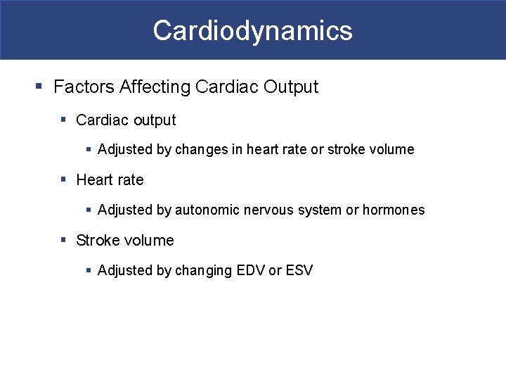 Cardiodynamics § Factors Affecting Cardiac Output § Cardiac output § Adjusted by changes in