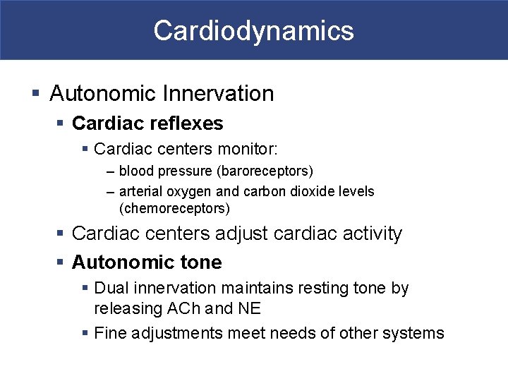 Cardiodynamics § Autonomic Innervation § Cardiac reflexes § Cardiac centers monitor: – blood pressure