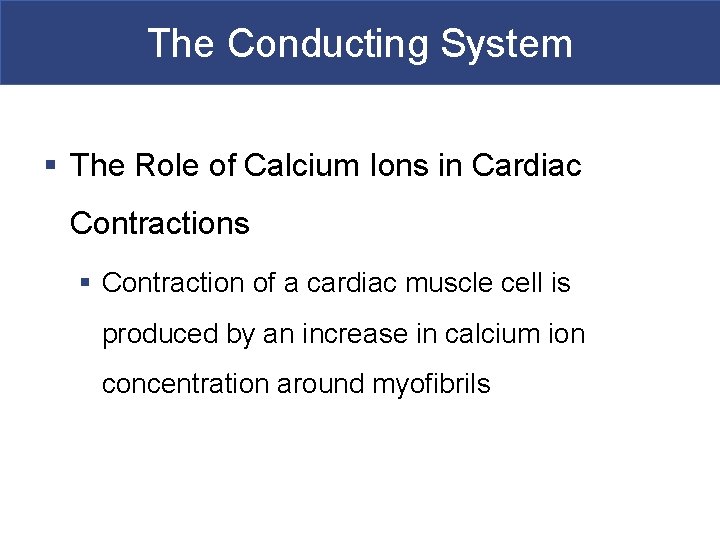 The Conducting System § The Role of Calcium Ions in Cardiac Contractions § Contraction