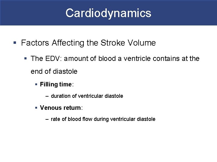 Cardiodynamics § Factors Affecting the Stroke Volume § The EDV: amount of blood a
