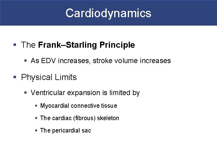 Cardiodynamics § The Frank–Starling Principle § As EDV increases, stroke volume increases § Physical