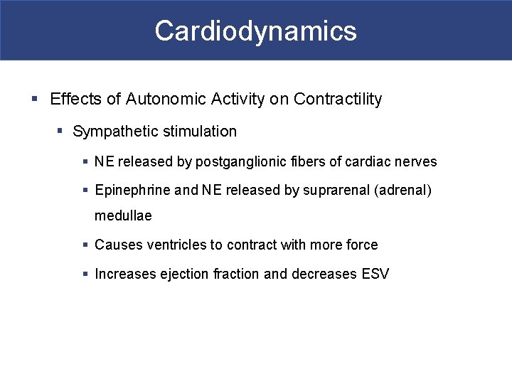 Cardiodynamics § Effects of Autonomic Activity on Contractility § Sympathetic stimulation § NE released