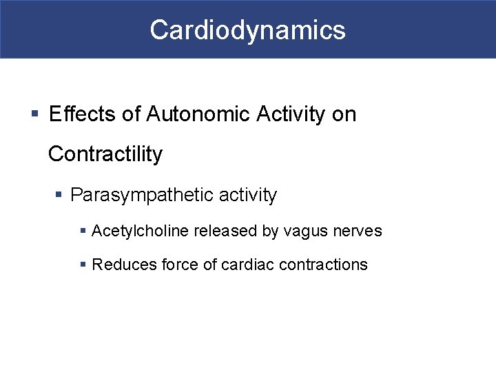 Cardiodynamics § Effects of Autonomic Activity on Contractility § Parasympathetic activity § Acetylcholine released