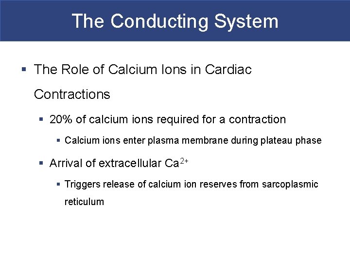 The Conducting System § The Role of Calcium Ions in Cardiac Contractions § 20%